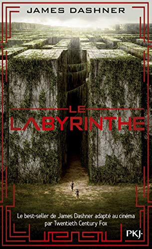 LE LABYRINTHE T.01